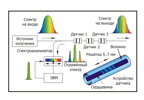 cxema